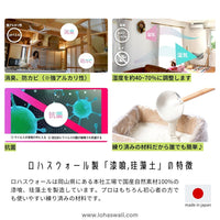 本格漆喰-Standard-