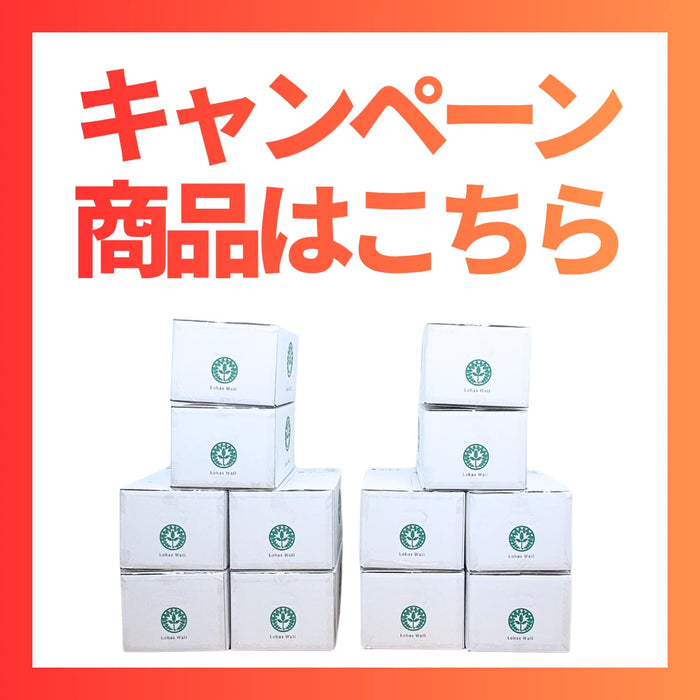 期間限定キャンペーン商品