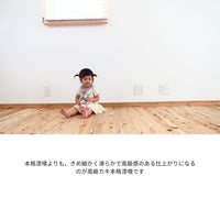 高級カキ本格漆喰-Classic Edition-