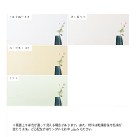 チューブタイプ本格漆喰